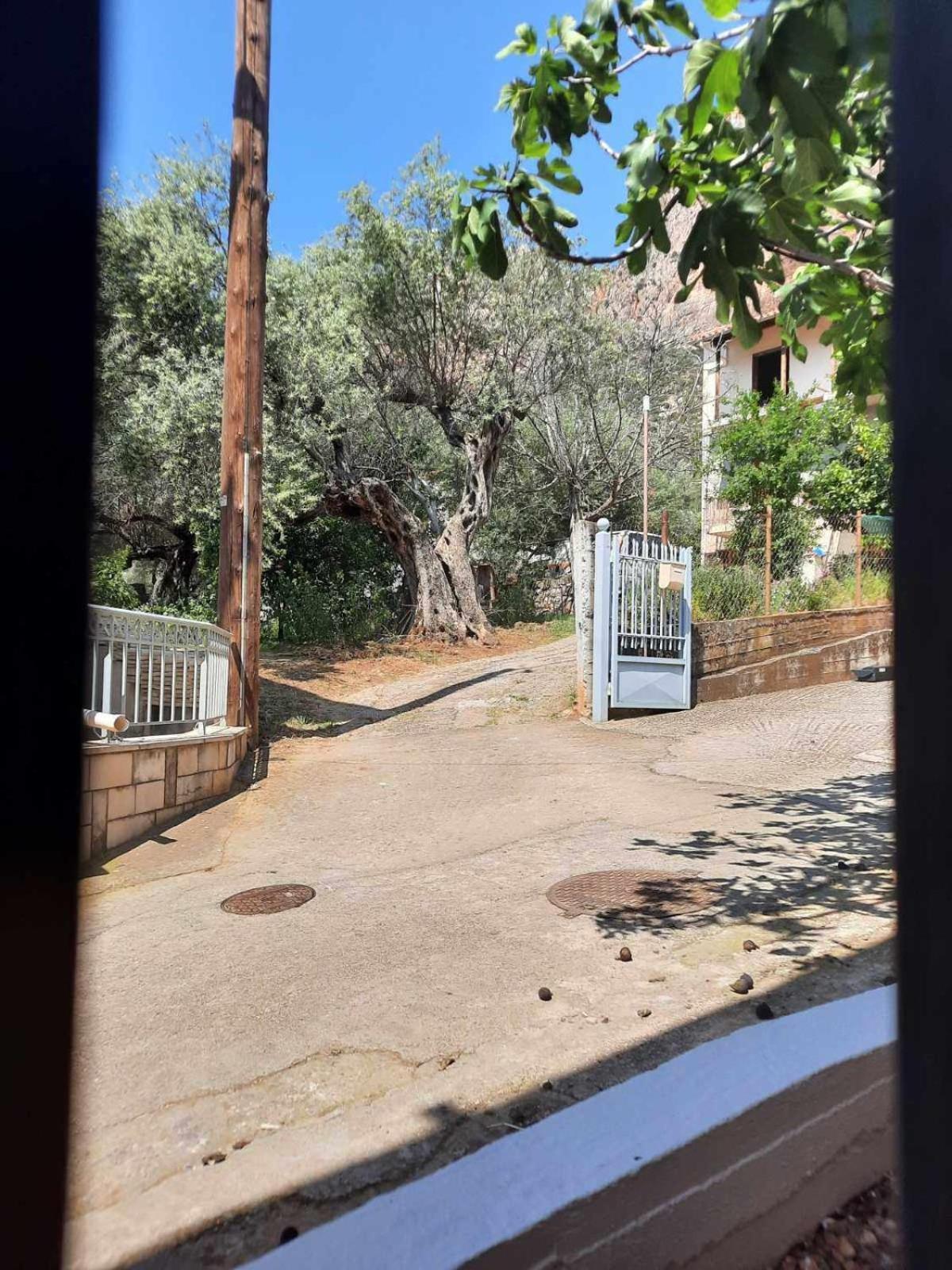 Et In Arkadia Ego Ferienhaus *